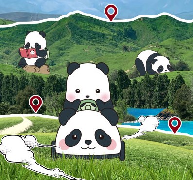 Ȥ | ʱйվXPanda Roll ƿС